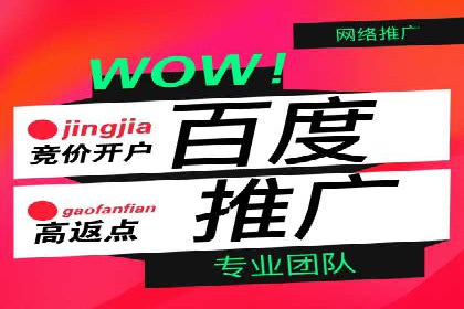 案例分析：托管SEM竞价助力电商旺季促销